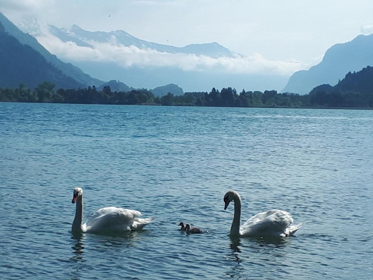Därligen Berner Oberland Am Thunersee מראה חיצוני תמונה