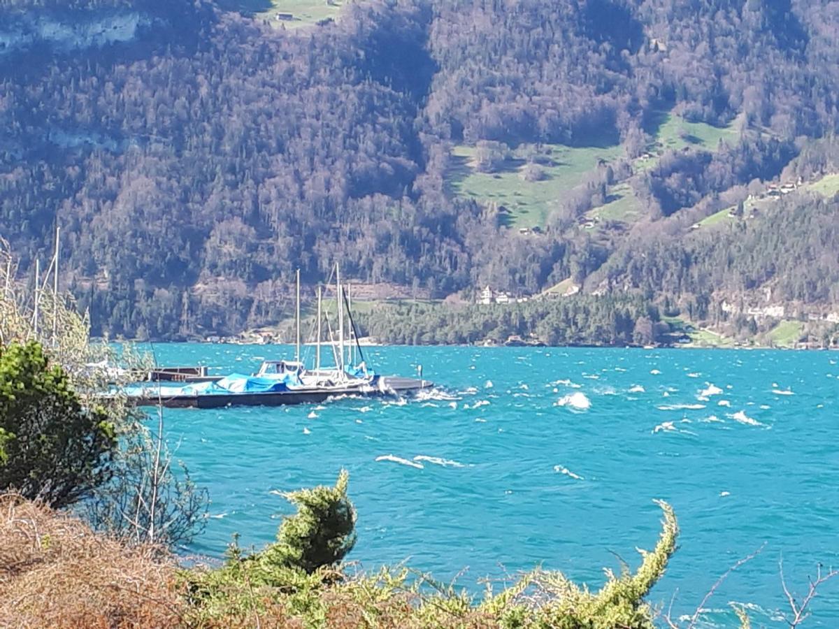 Därligen Berner Oberland Am Thunersee מראה חיצוני תמונה